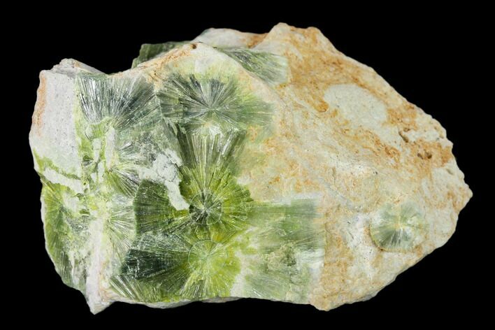 Radiating, Green Wavellite Crystal Aggregation - Arkansas #135945